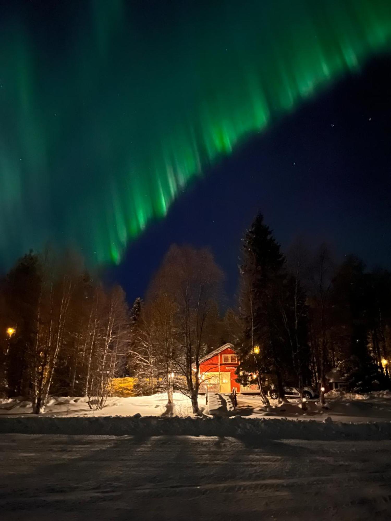 Vikajaervi Lake View Experience Igloos Rovaniemi Exterior foto